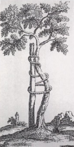Tree of Andry, bent tree braced to a stake to make it grow upward and straight, has become the traditional symbol of orthopedics for hundreds of years.